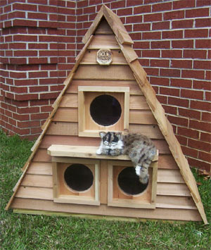 Cat Cottage Triplex