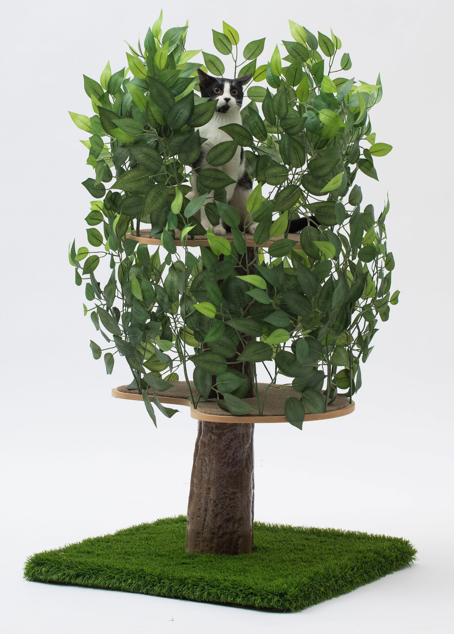 Luxury Cat Tree (Medium) - Square Base CT004