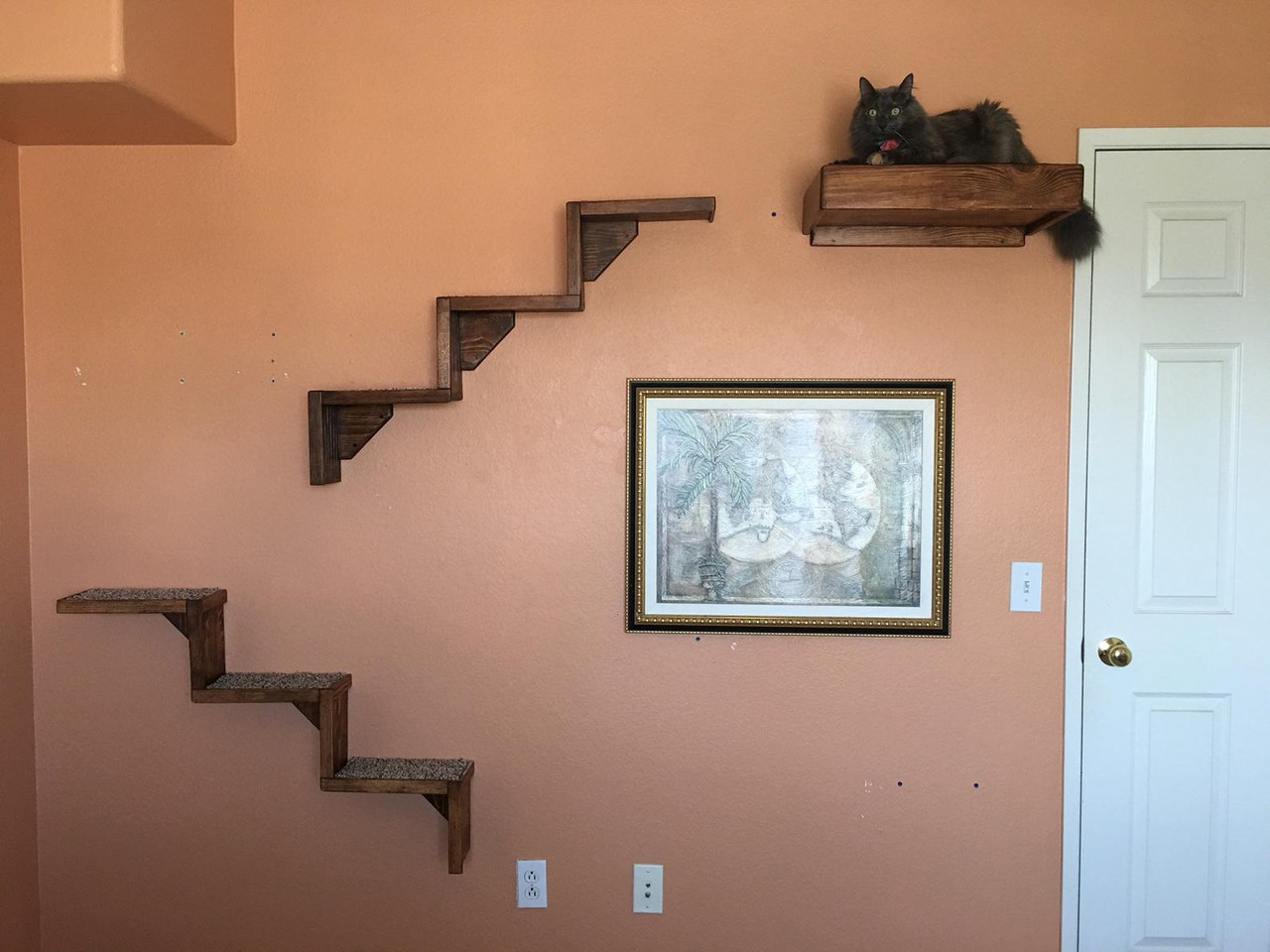 Artisan Made - (2) Floating Cat Wall Stairs + (1) Floating Cat Wall Bed Brown / Brown/Solid Turquoise