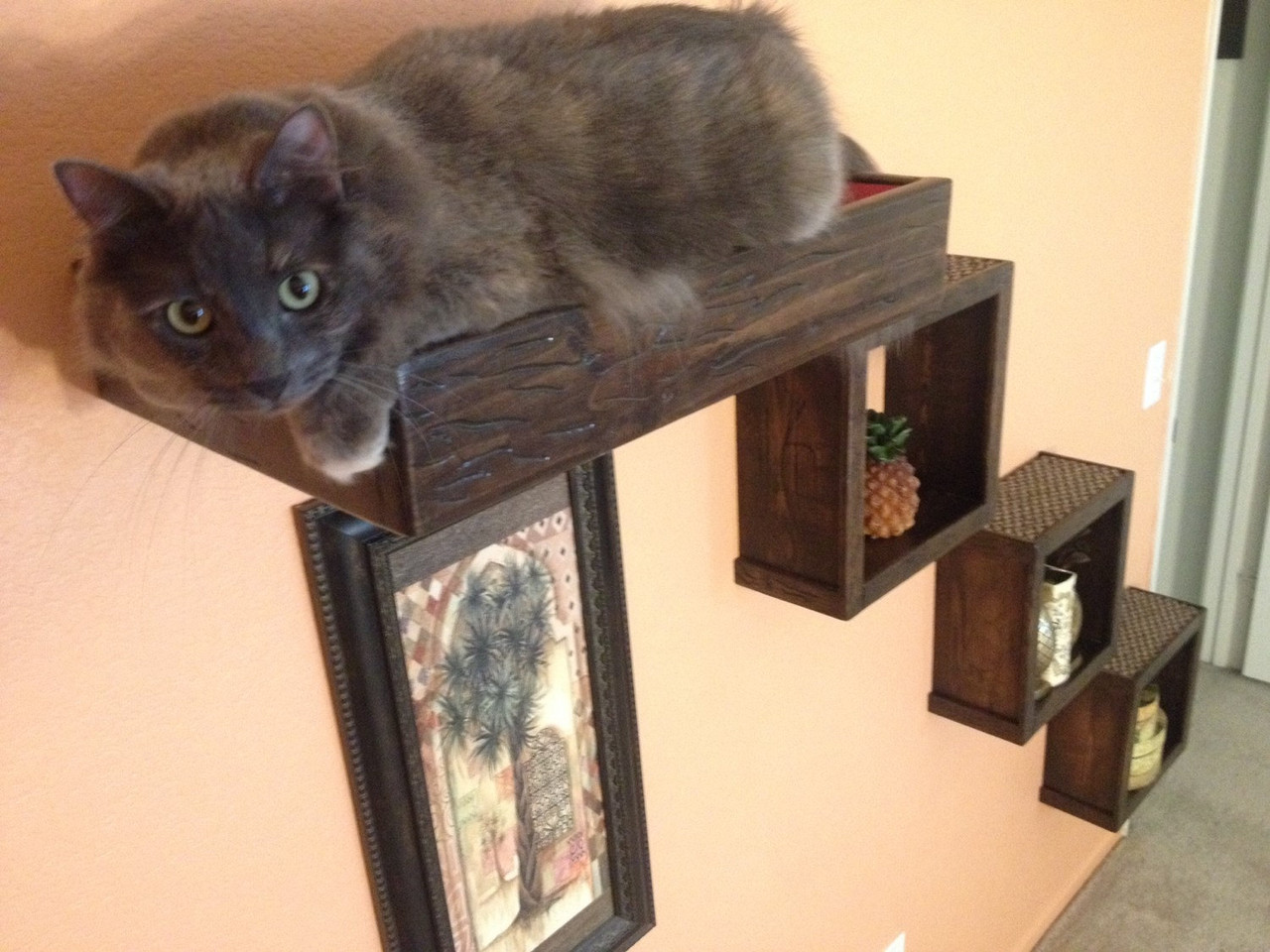 Artisan Made - (3) Floating Cat Wall Cubes + (1) Cat Wall Bed Blue / Blue/Dark Kona