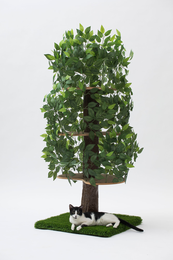 Luxury Cat Tree (Large) - Square Base Orange - CT022