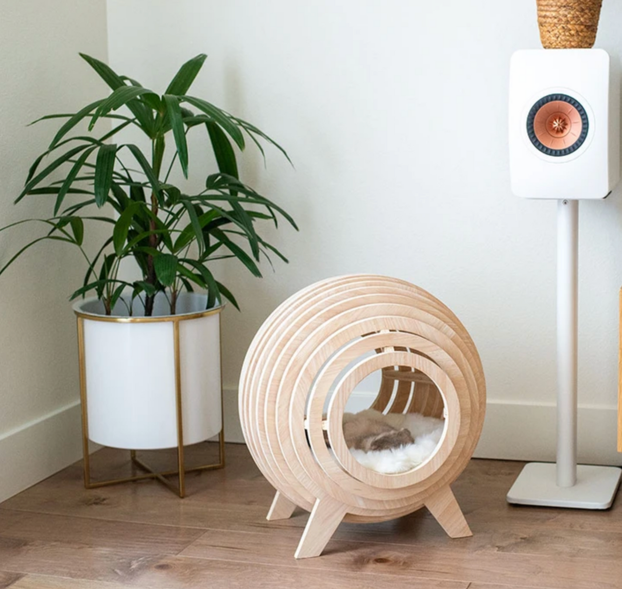 Stratford Modern Sphere Wooden Cat Bed