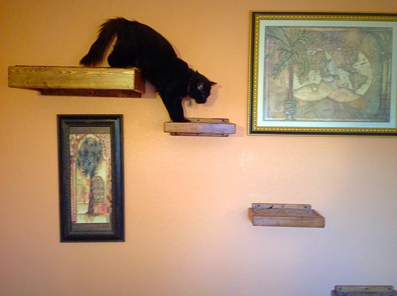 Artisan Made - (4) Floating Cat Wall Shelves + (1) Floating Cat Wall Bed Blue / Beige/Dark Kona