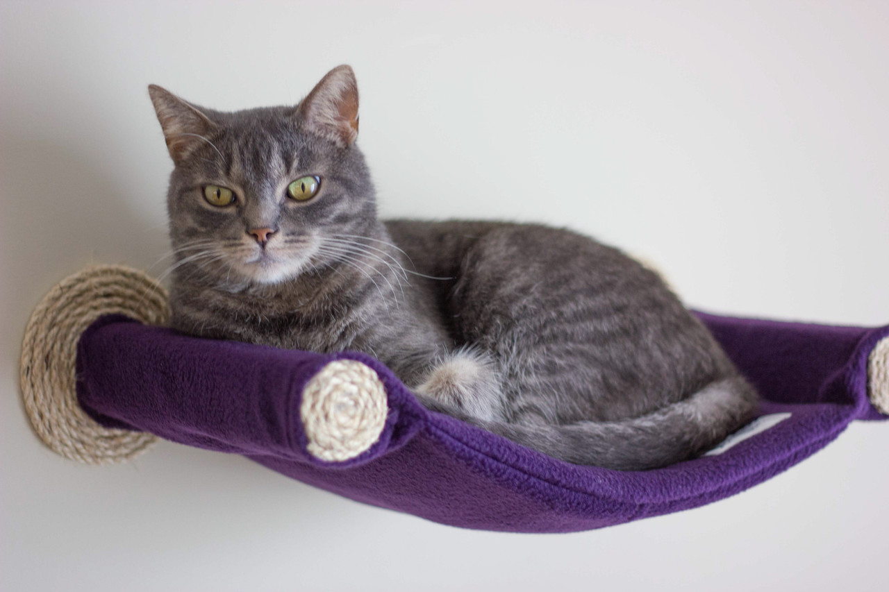 Cat Hammock - Wall Mounted Cat Bed - Purple