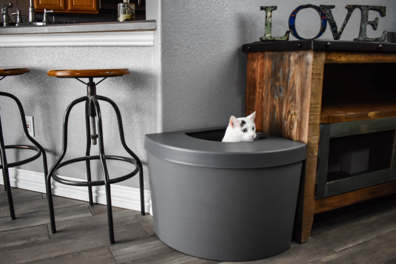 Top Entry Corner Kitty Litter Box Black/NO Liner/Bed - Gray