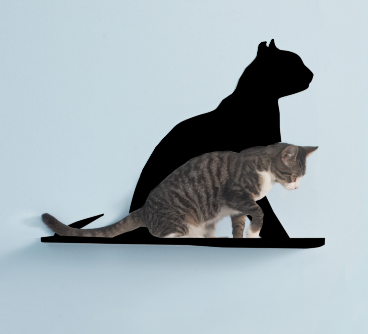 Cat Silhouette Cat Shelf - Gaze Black