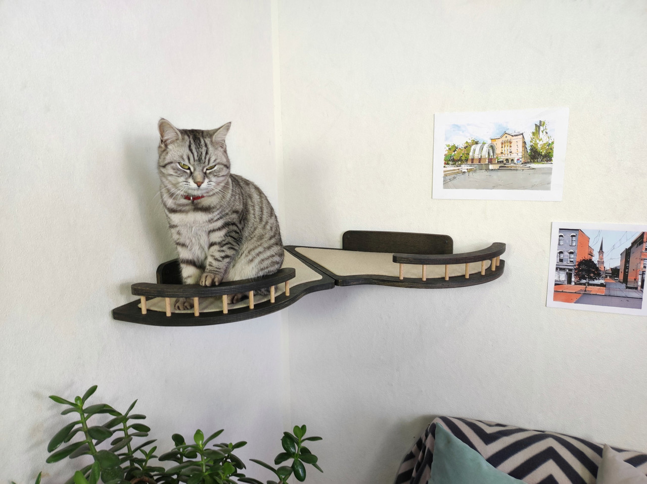 Curvy Corner Cat Wall Shelf