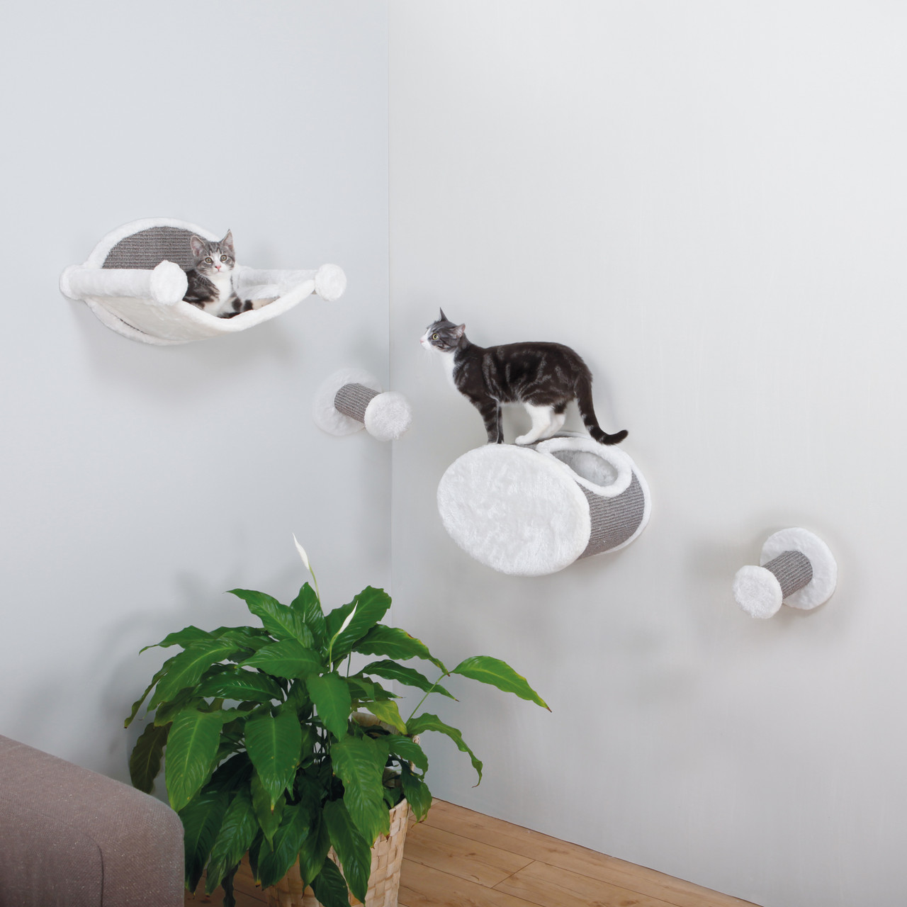 Wall Mounted Cat Play Set Cream & Gray - 49923