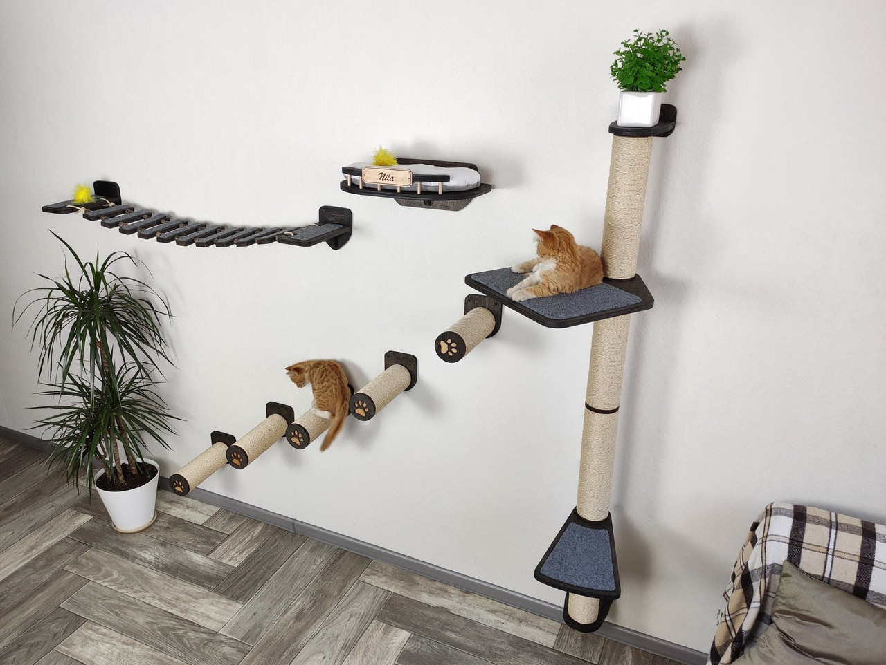 Deluxe Cat Wall Shelf & Climbing System