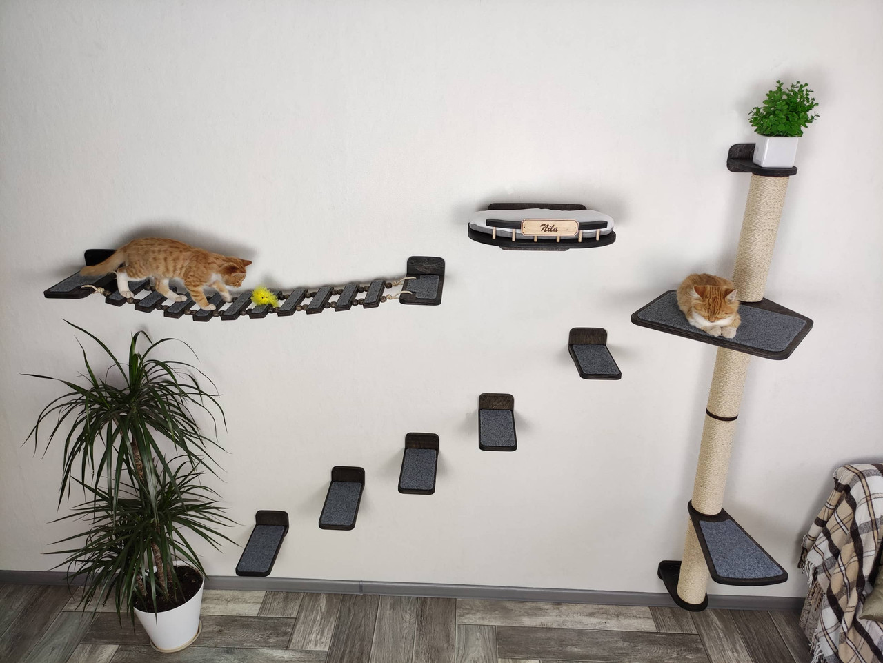 Bony Deluxe Cat Wall Mounted Lounge & Climb System