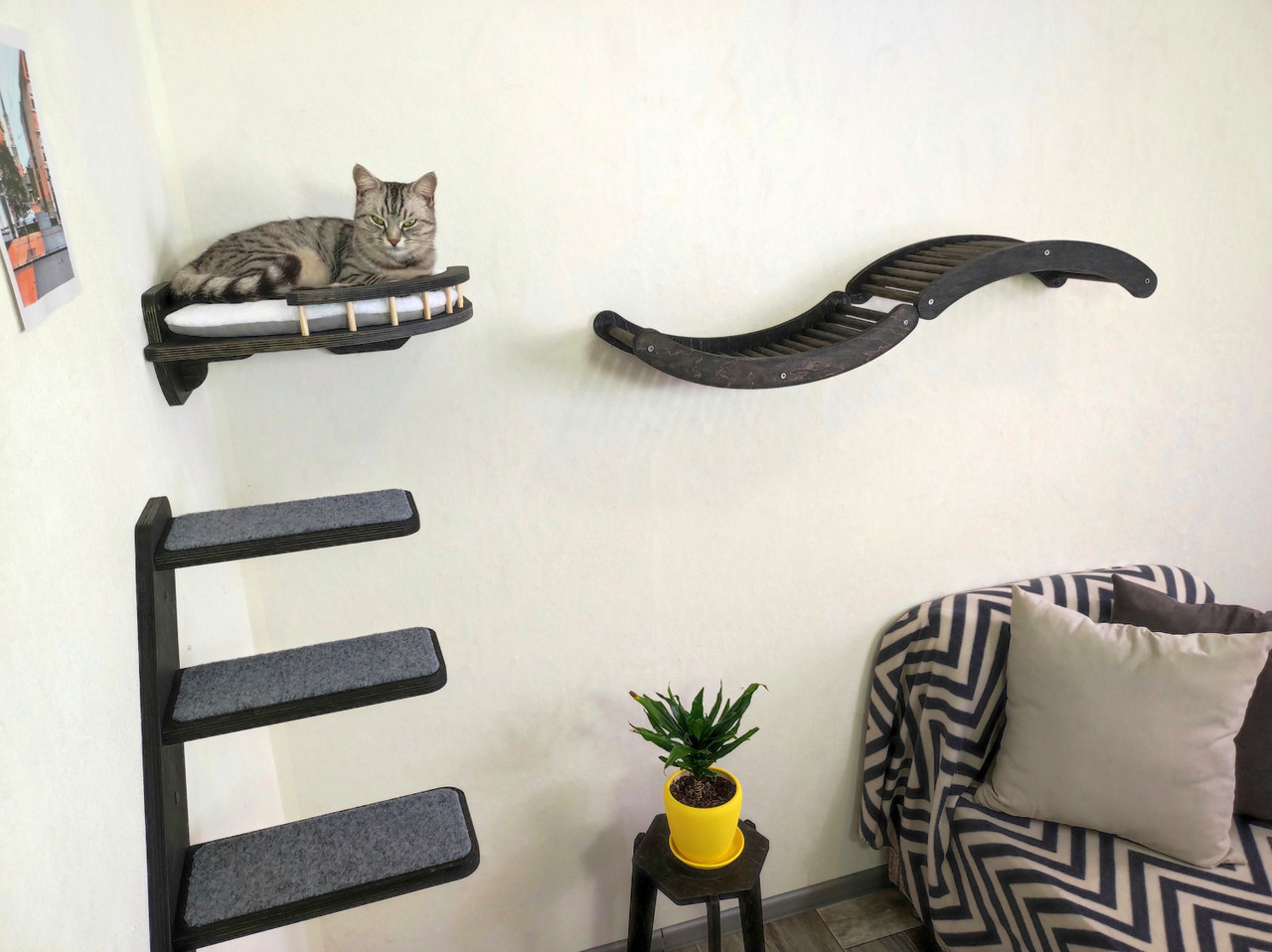 Wall-Mounted Cat Play Area with Corner Shelf, Ladder, and MOON Elements