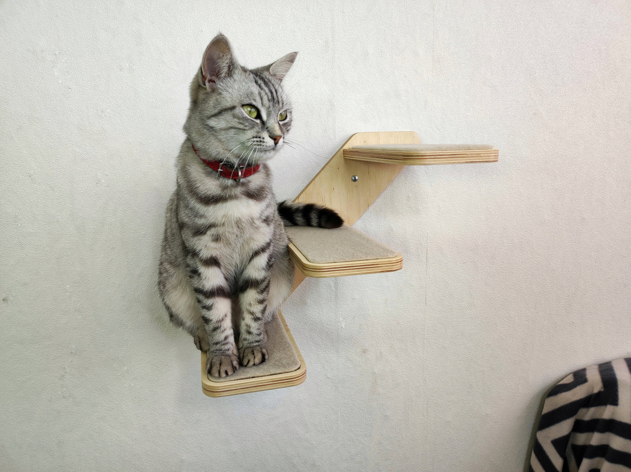 Stylish and Sturdy Wall Mounted Cat Stairs for Active Felines