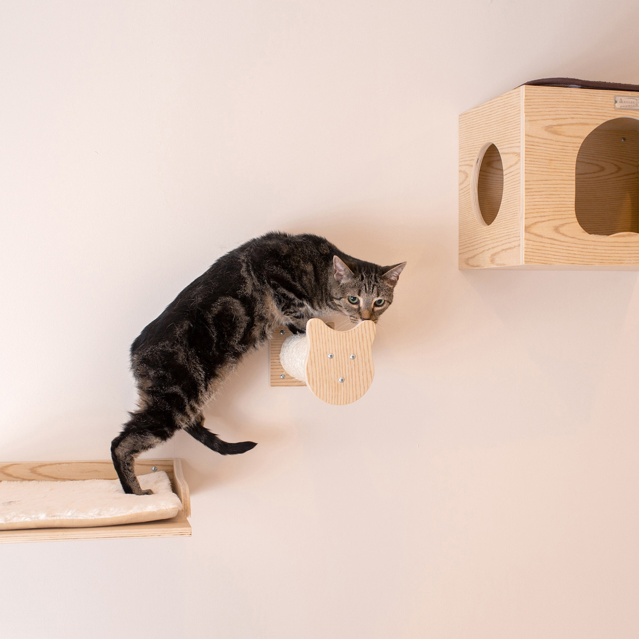 Cats on the Wall Series: Tree W1907A With Condo, Perch And Stepup
