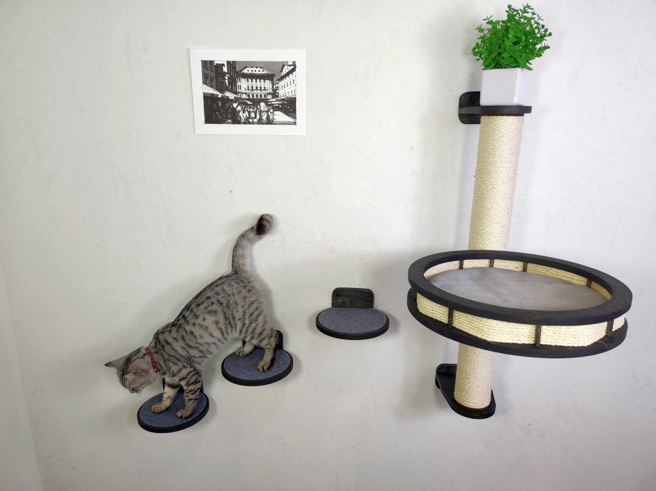 Cat Wall Tree with Cozy Round Bed and 3 Steps