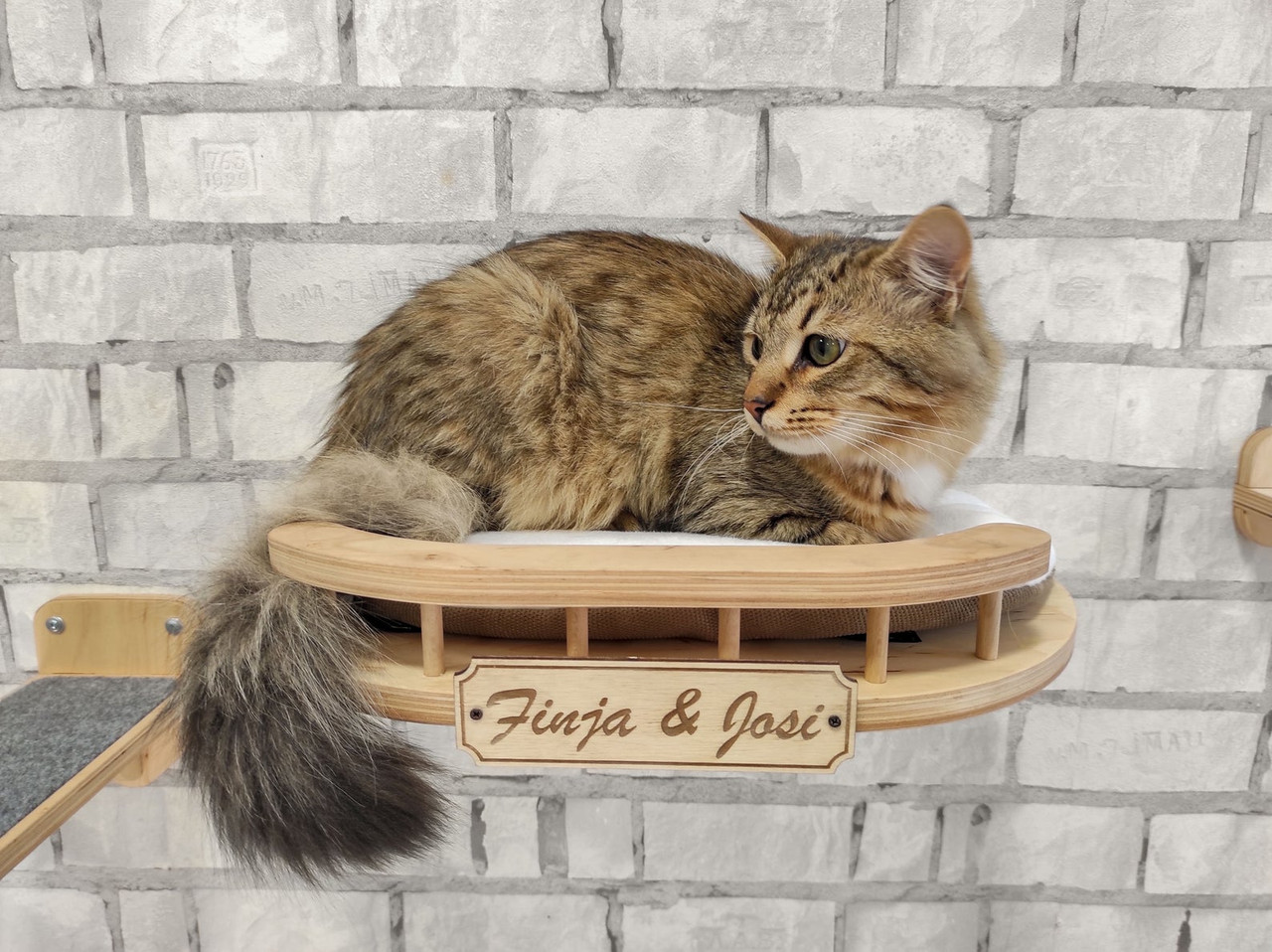 Rounded Front Wooden Cat Wall Shelf