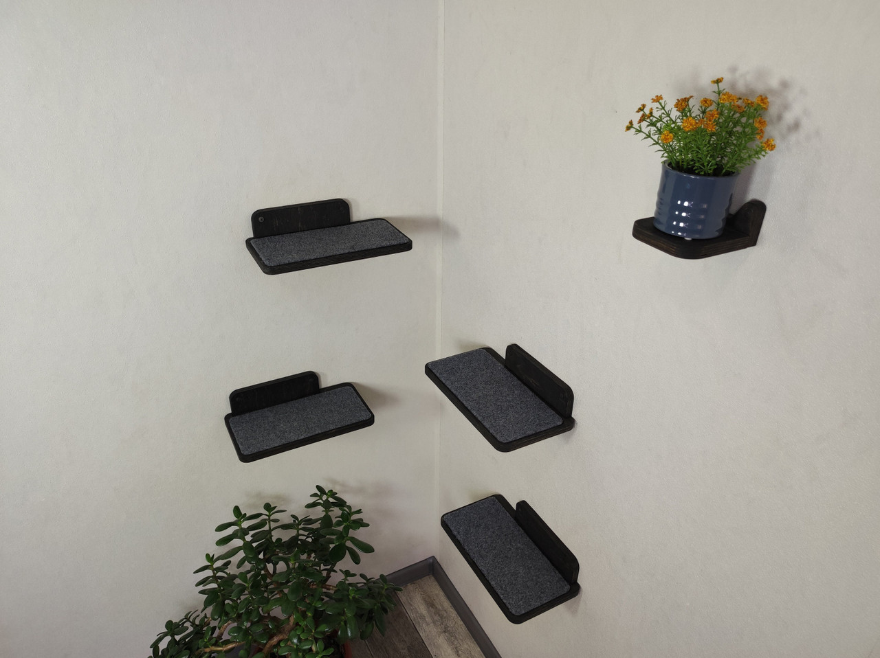 Set of (4) Cat Wall Shelves for Wall or Corner Placement