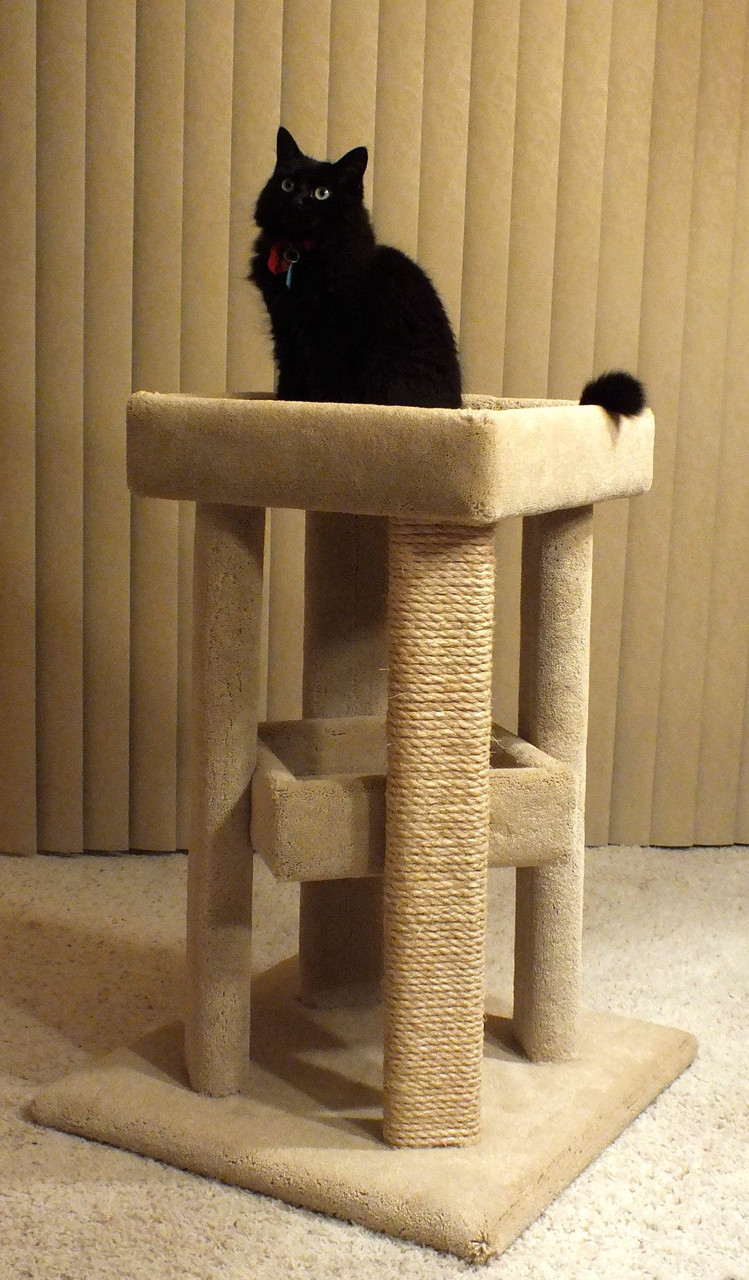 Four Corner Cat Sleeper 1 Sisal Leg/Speckled Sand/Green