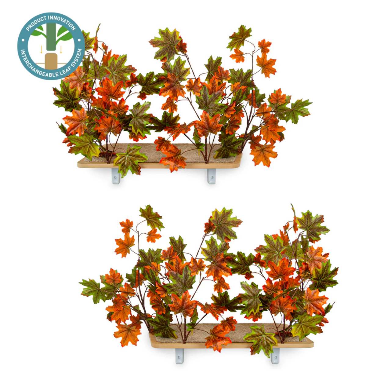 Canopy Rectangle Cat Wall Shelves with Leaves - MIXED MAPLE - Set of (2)