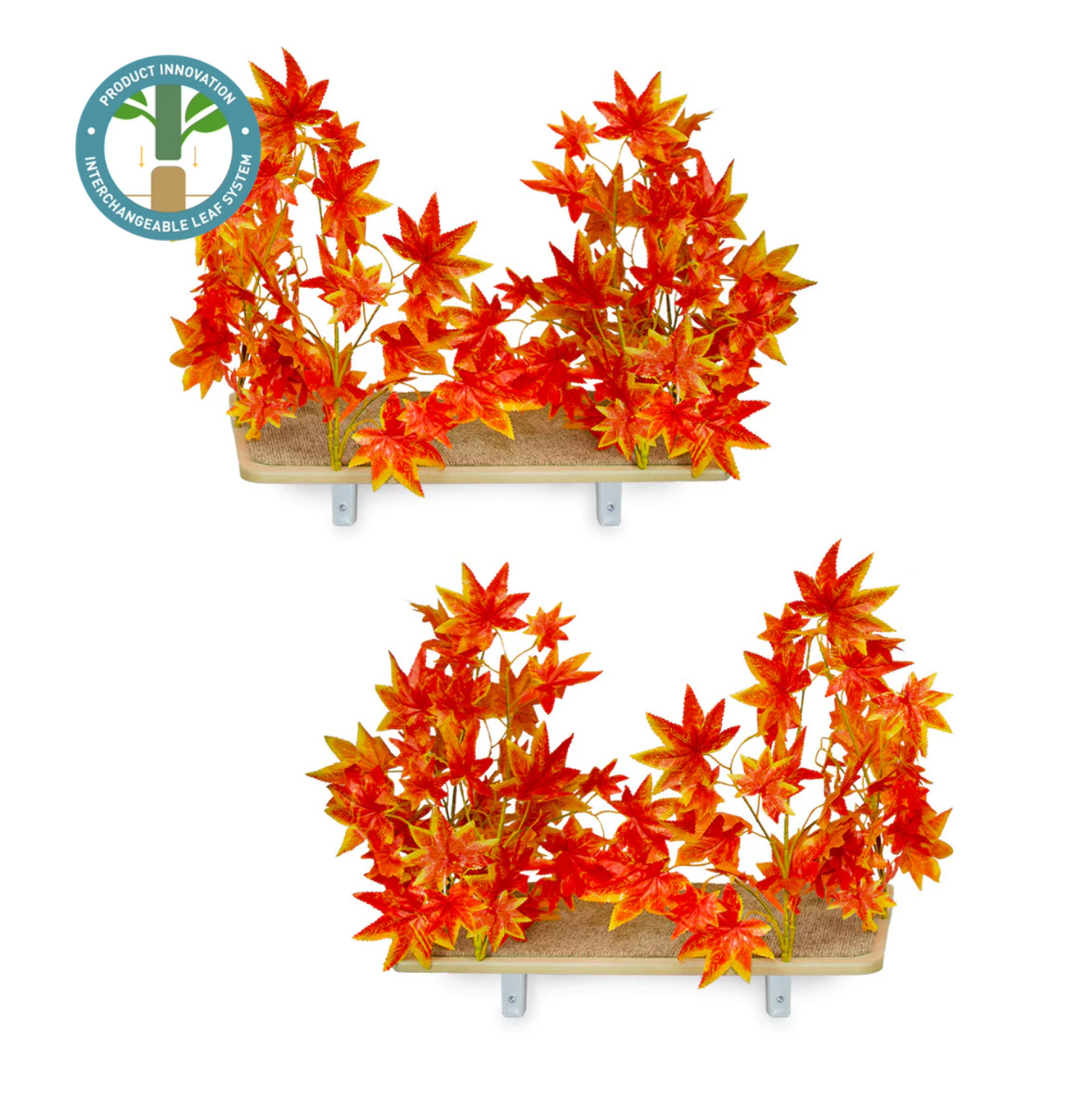 Canopy Rectangle Cat Wall Shelves with Leaves - ORANGE BLAZE - Set of (2)