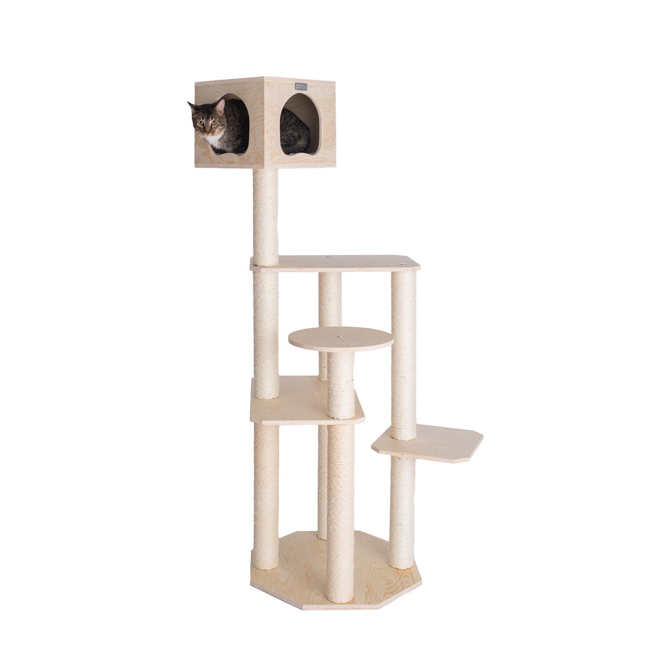 Cat's Dream Premium Scots Pine 69-Inch Cat Tree with Five Levels, Perch, Condo