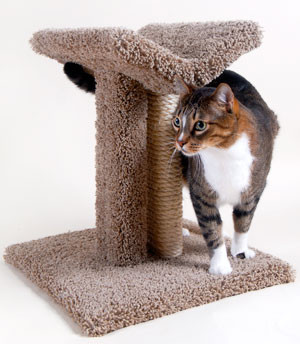 V Scratching Post and Perch Tan/Tan