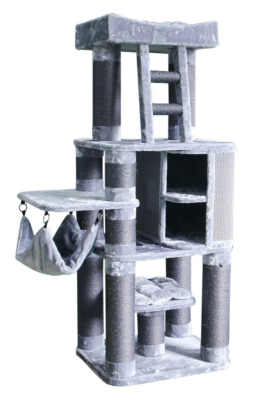 The Keys Cat Gym Dary Gray