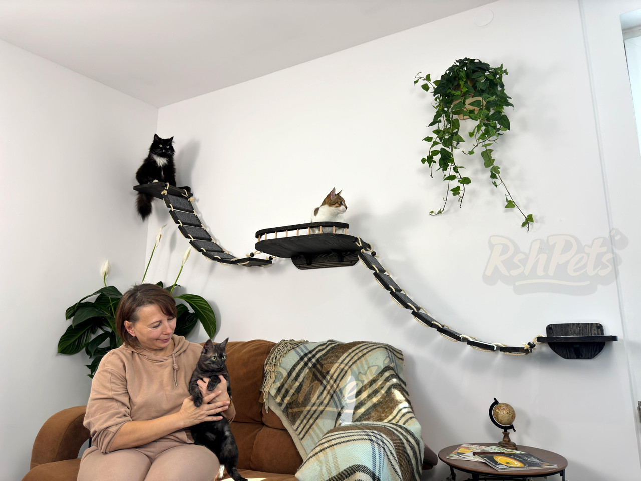 Large Cat Wall Shelf with 2 Bridges and 2 Small Shelves