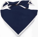 Navy with White Trim
