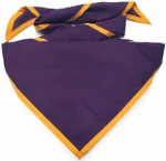 Purple with Gold Trim