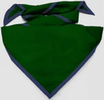 Forest Green with Metro Blue Trim
