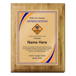 Council Event Coordinator Plaque with Cub Scout Scouting America Logo - Stripes Design - Vertical - Light Wood