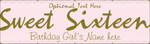 Sweet Sixteen Birthday Vinyl Banner - Pink (SP7851)