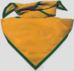 Gold with Forest Green Trim