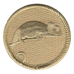 Ghost Chameleon Scout Patrol Patch - embroidered 2 inch round by ClassB