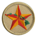 Hawaii Star Scout Patrol Patch - embroidered 2 inch round by ClassB