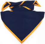 Navy with Gold Trim
