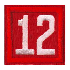 Cub Scout pack unit numeral patch