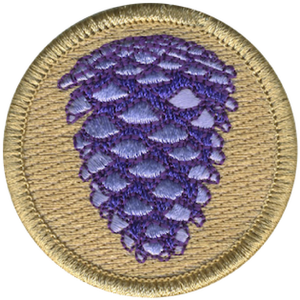 Purple Pinecone Scout Patrol Patch - embroidered 2 inch round