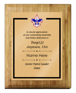 Scouts BSA Troop Plaque with BSA Logo - Light Wood 