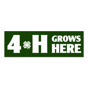 4-H Grows Here Bumper Sticker