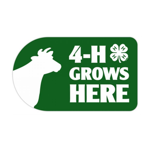 Cow 4-H Grows Here 4-H Sticker Cow 4-H Grows Here 4-H Sticker