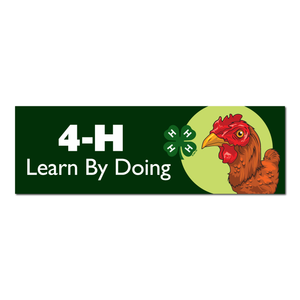Poultry Learn By Doing 4-H Bumper Sticker Poultry Learn By Doing 4-H Bumper Sticker