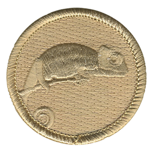 Ghost Chameleon Scout Patrol Patch - embroidered 2 inch round by ClassB