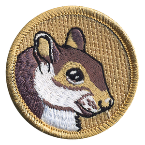 Squirrel Scout Patrol Patch - embroidered 2 inch round by ClassB