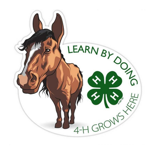 Horse Learn By Doing 4-H Sticker by ClassB Horse Learn By Doing 4-H Sticker by ClassB