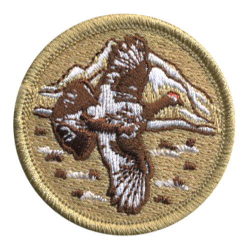 Willow Ptarmigan Scout Patrol Patch - embroidered 2 inch round