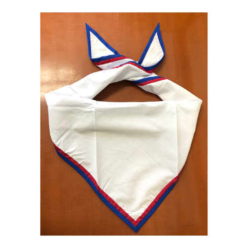 Blank White Scout Neckerchief With True Red, and Royal Blue Double Piped  Edge - Troop Size