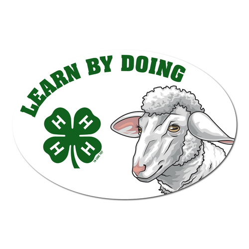 4-H Magnet - Sheep Learn by Doing