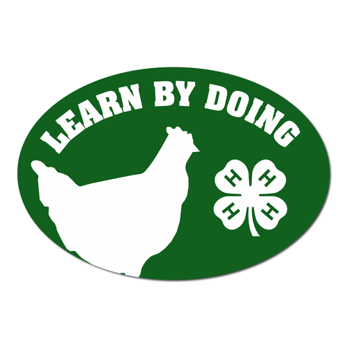 4-H Magnet - Chicken Silhouette