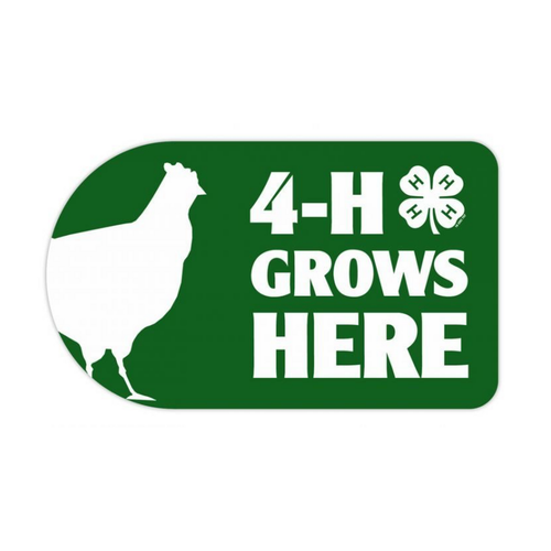 Poultry 4-H Grows Here 4-H Sticker